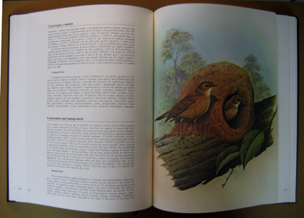 /data/Books/AVES DO BRASIL - Birds of Brazil.jpg